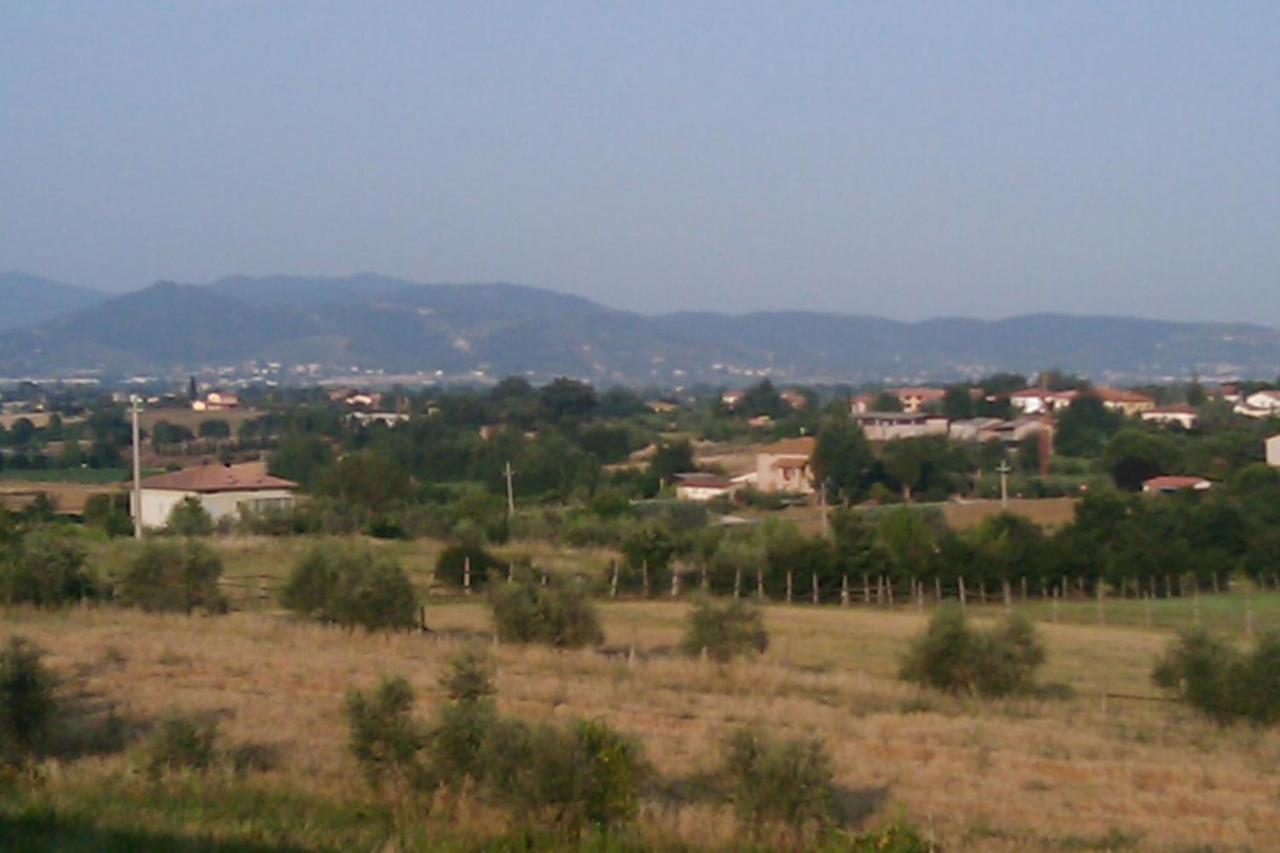 Montecchio Di Cortona Lägenhet Exteriör bild